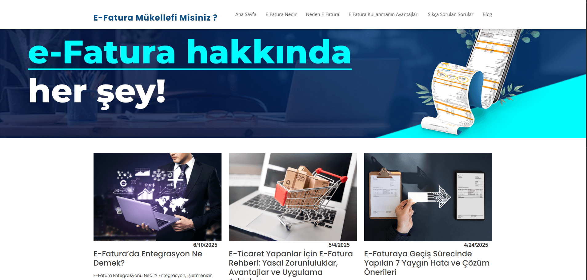 E-Fatura Mükellef Sorgulama screenshot 4